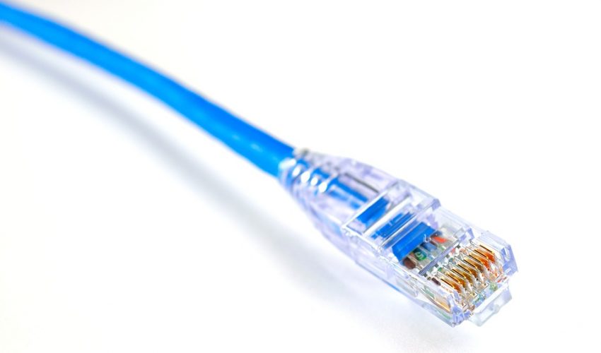 network cable type