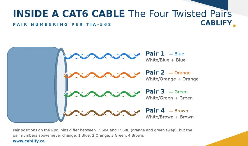 Inside a Cat6 cable: four twisted pairs numbered per TIA-568 — blue, orange, green and brown