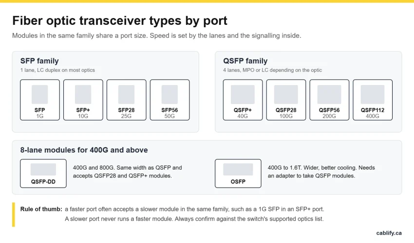 Chart of fiber optic transceiver types by port: SFP, SFP+, SFP28 and SFP56 in the SFP family, QSFP+, QSFP28, QSFP56 and QSFP112 in the QSFP family, plus QSFP-DD and OSFP for 400G and above