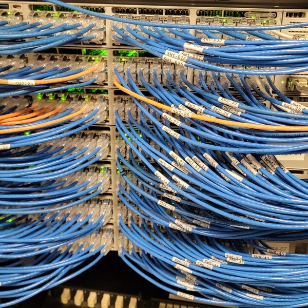 Labelled Cat6 cables terminated on patch panels in a network rack