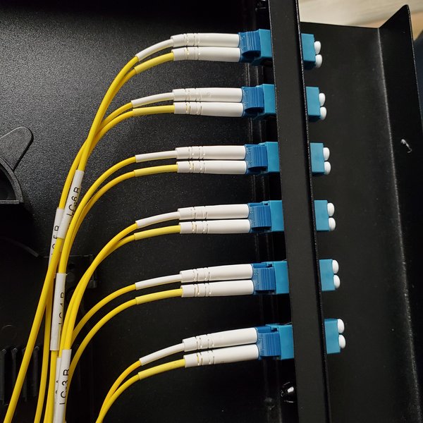 Single mode fiber LC connectors plugged into a rack patch panel